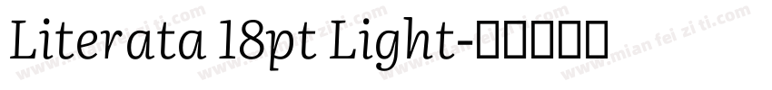 Literata 18pt Light字体转换